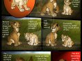 Taka_Comic_174_by_Savu0211.jpg